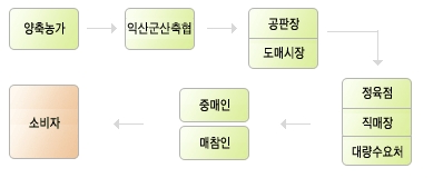 계통출하 체계